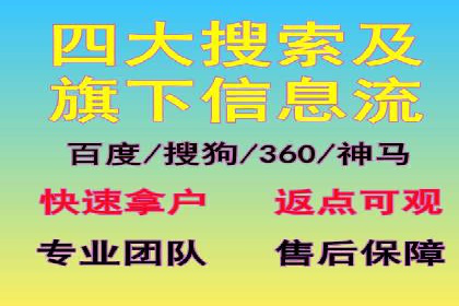 SEM推广代运营公司：实战案例解析